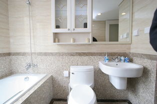 浴室卫浴装饰现代家居厕所室内装饰图片素材 模板下载 4.25MB 其他大全 标志丨符号